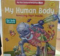 Image of My Human Body (Amazing Fact Inside) Our Body Structure